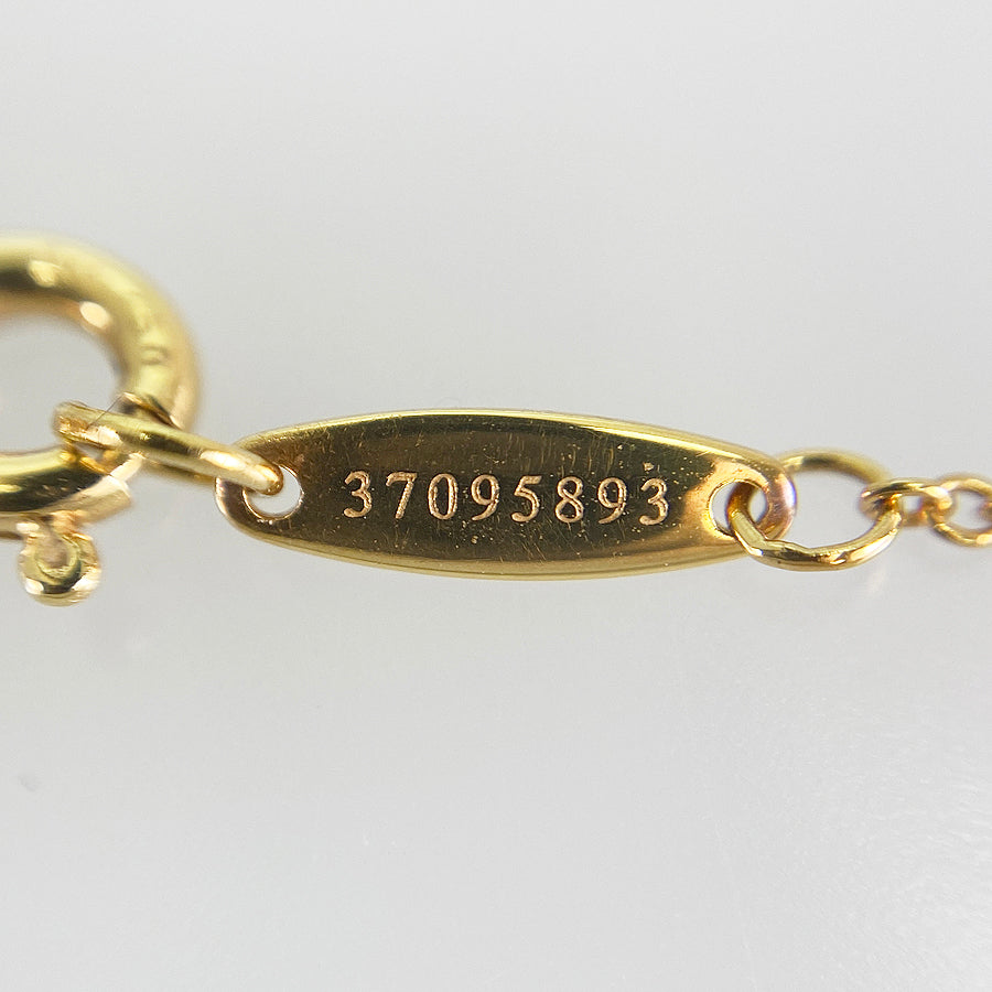 TIFFANY&Co. By The Yard Necklace