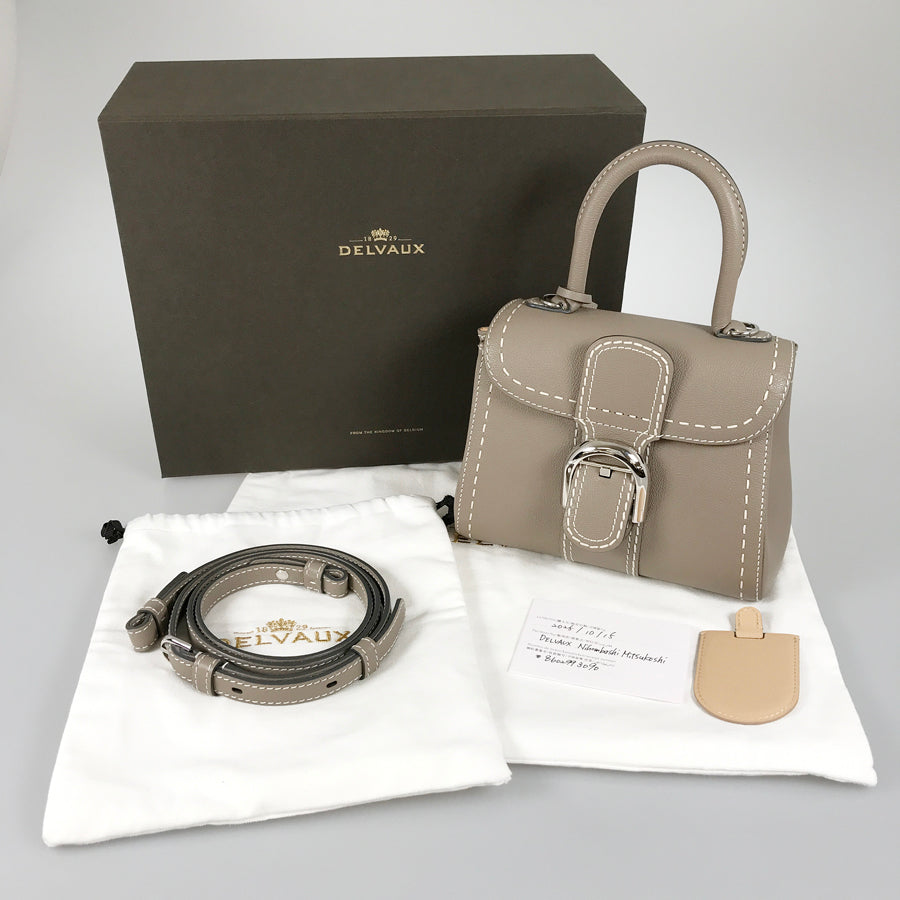 DELVAUX Brillant Mini Sarpique AA0406ADW0AKSPA Hand bag