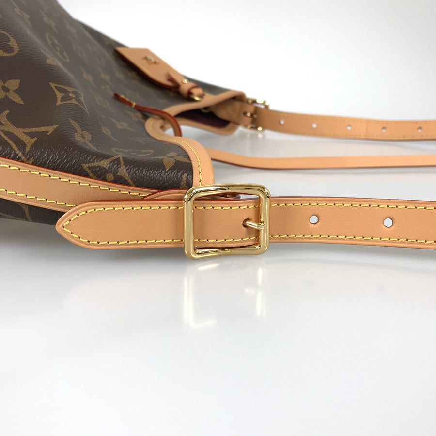 LOUIS VUITTON Monogram Carryall NM PM M46203 Shoulder bag