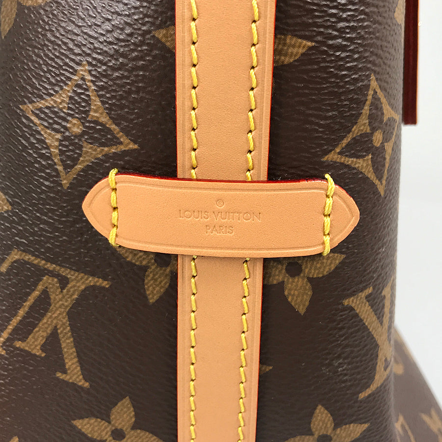 LOUIS VUITTON Monogram Carryall NM PM M46203 Shoulder bag