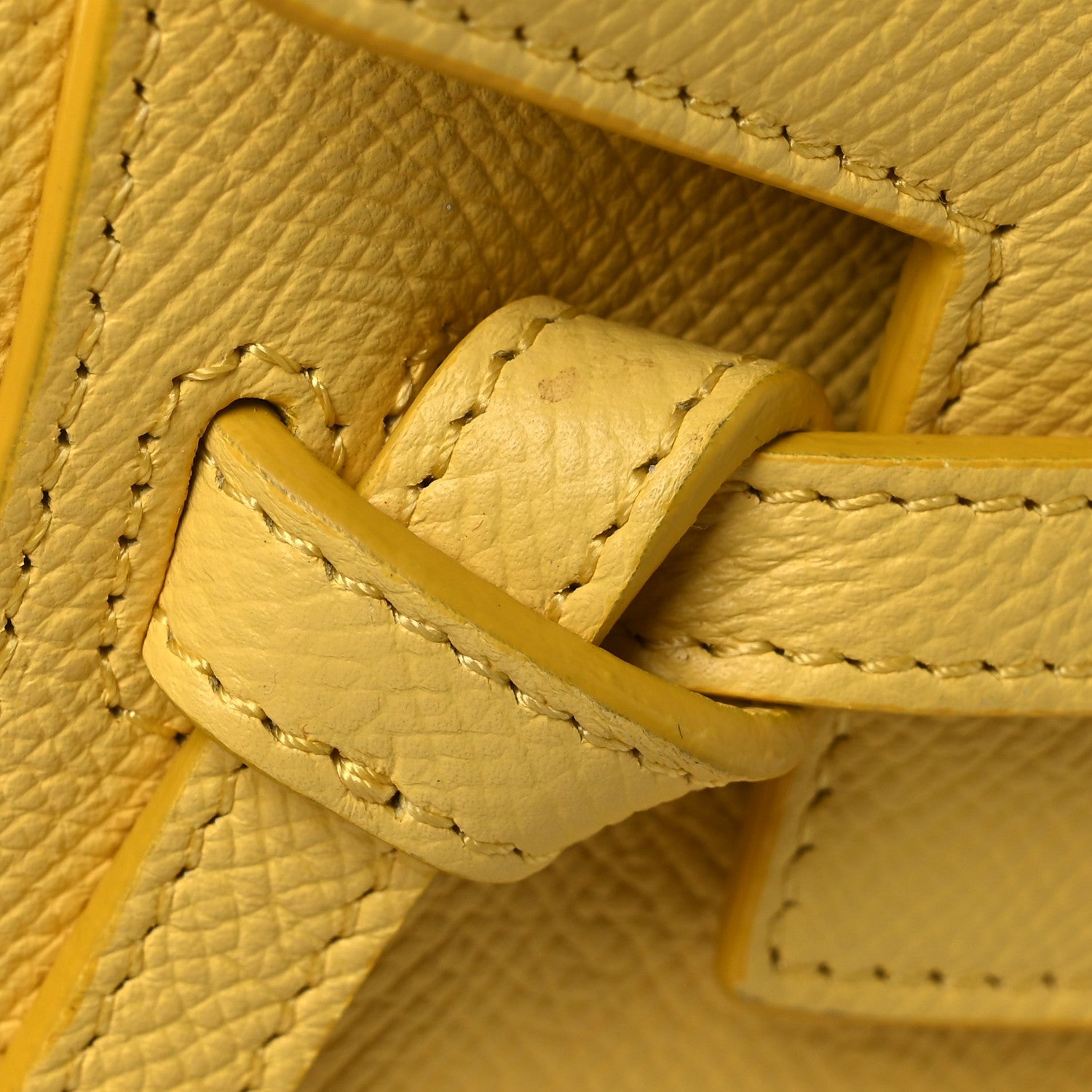 Grained Calfskin Nano Belt Bag Citrus