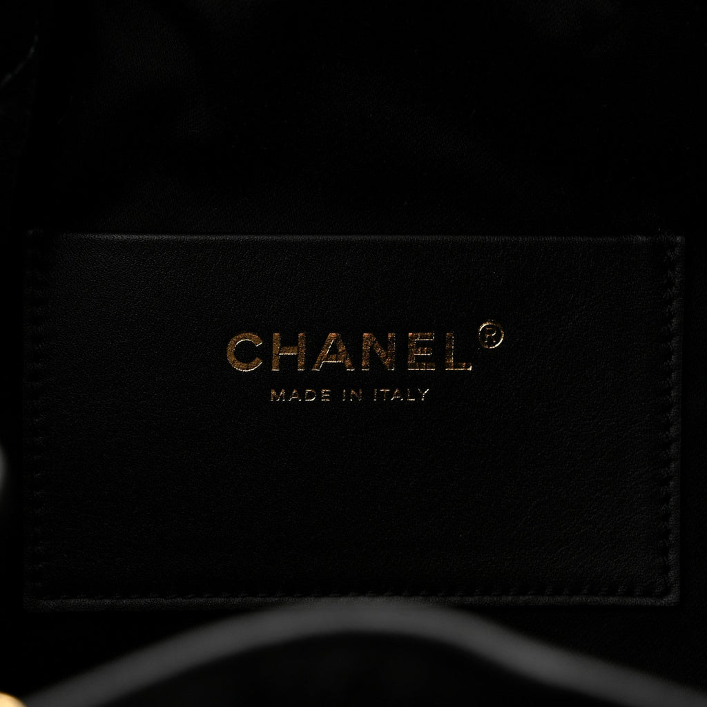 Pony Hair Mini Chanel 25 Handbag Dark Khaki Black