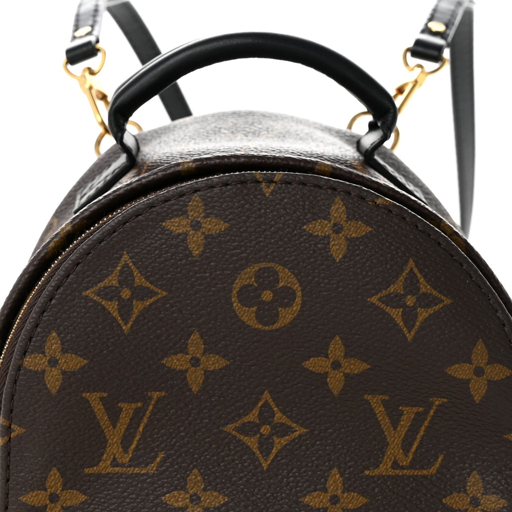 Monogram Palm Springs Backpack Mini