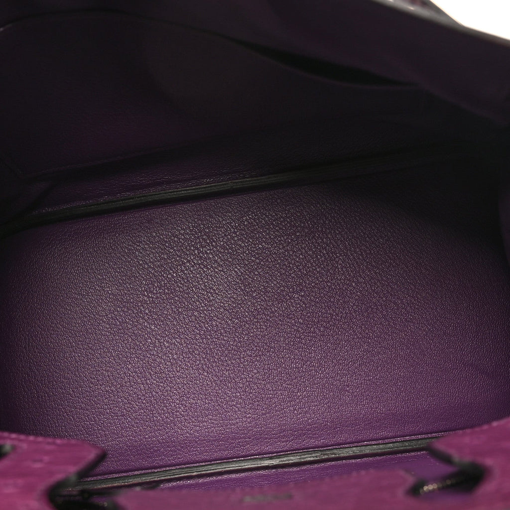 Ostrich Birkin 30 Violine
