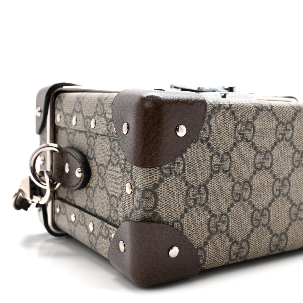 GG Supreme Monogram Globe-Trotter Beauty Case Brown