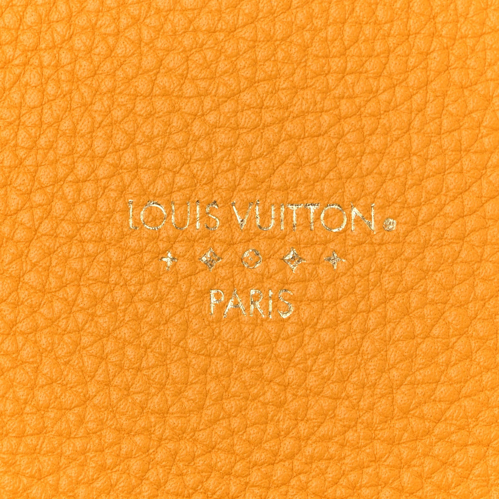 Grained Calfskin LV Pont 9 Soft PM Sunbeam