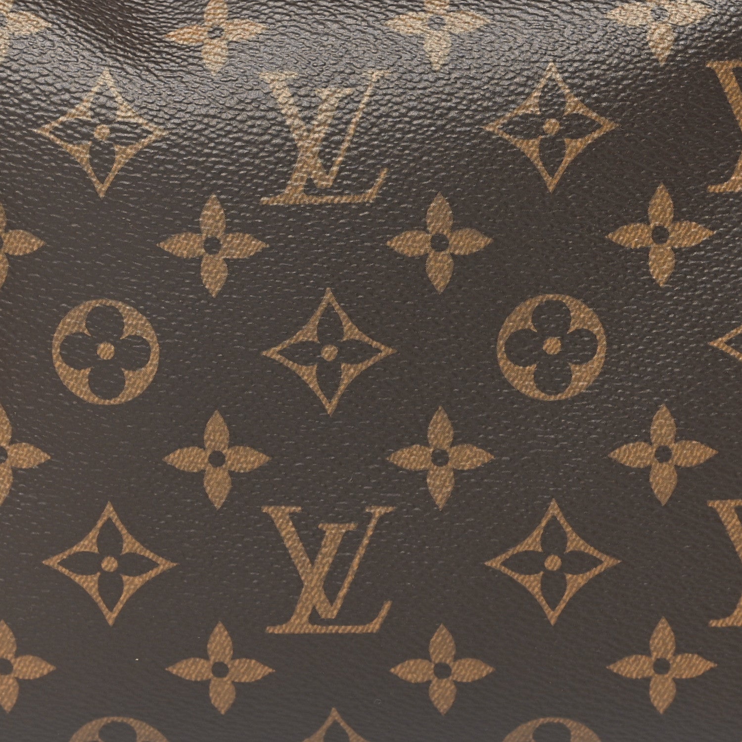 Monogram Side Trunk