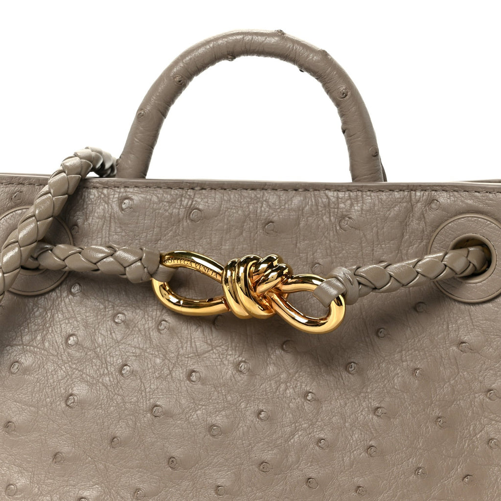 Ostrich Mini Andiamo Shoulder Bag Limestone