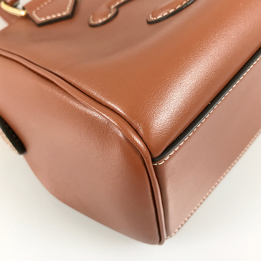 CELINE Triomphe Hand bag