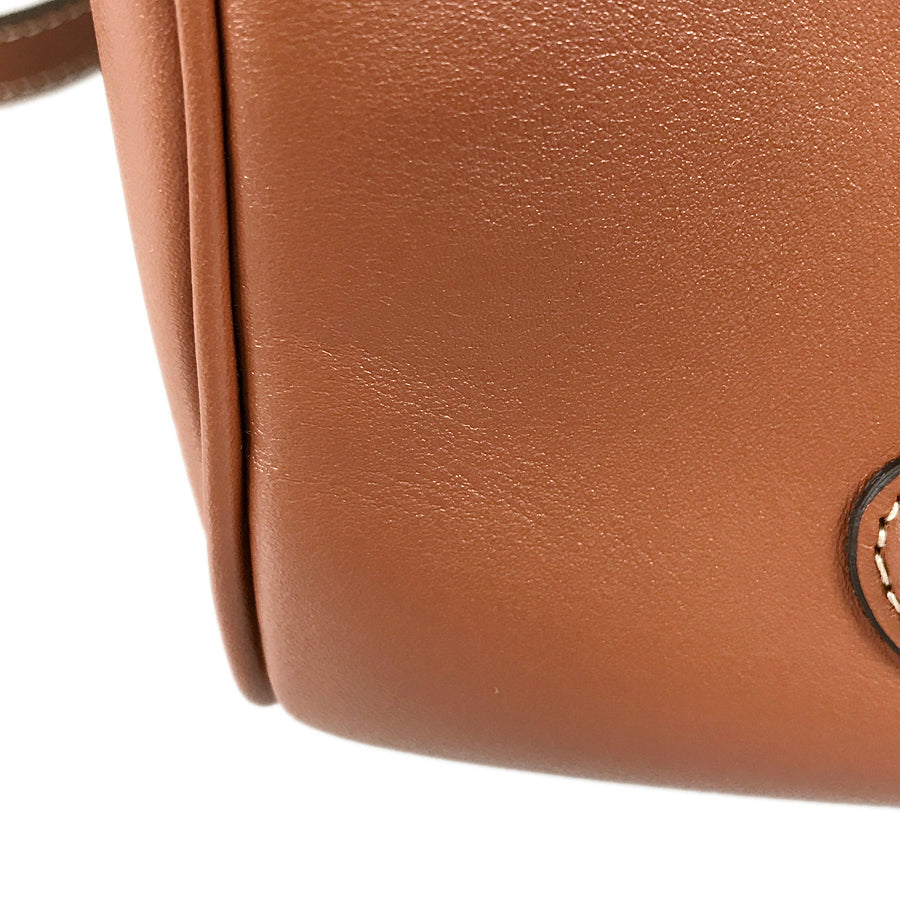 CELINE Triomphe Hand bag