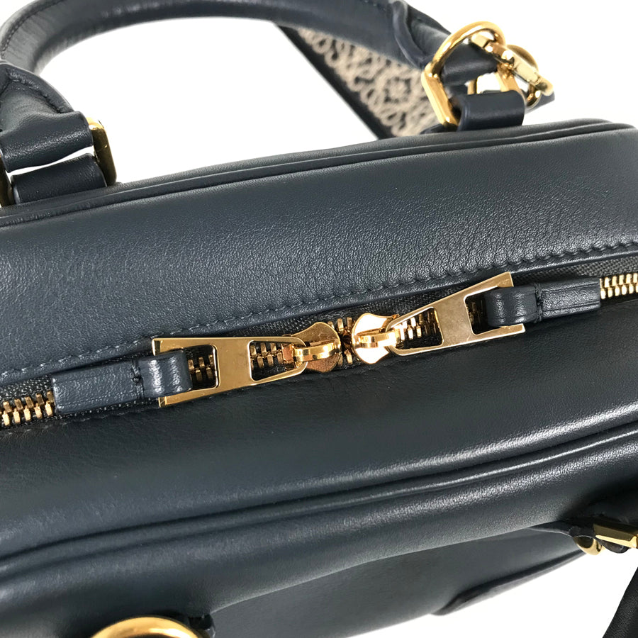 LOEWE Amazona 16 Hand bag