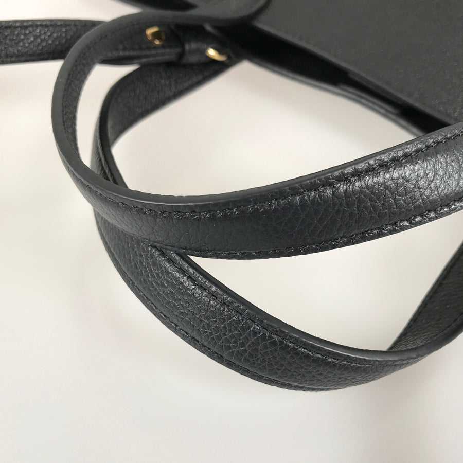 CELINE Triomphe Mini Cover Anais Cuir Hand bag