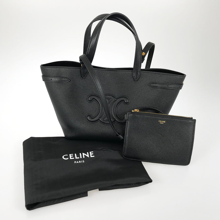 CELINE Triomphe Mini Cover Anais Cuir Hand bag