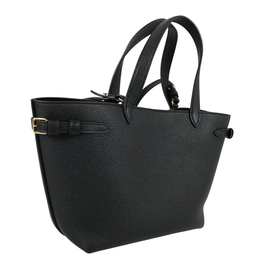 CELINE Triomphe Mini Cover Anais Cuir Hand bag