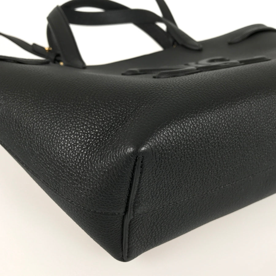 CELINE Triomphe Mini Cover Anais Cuir Hand bag