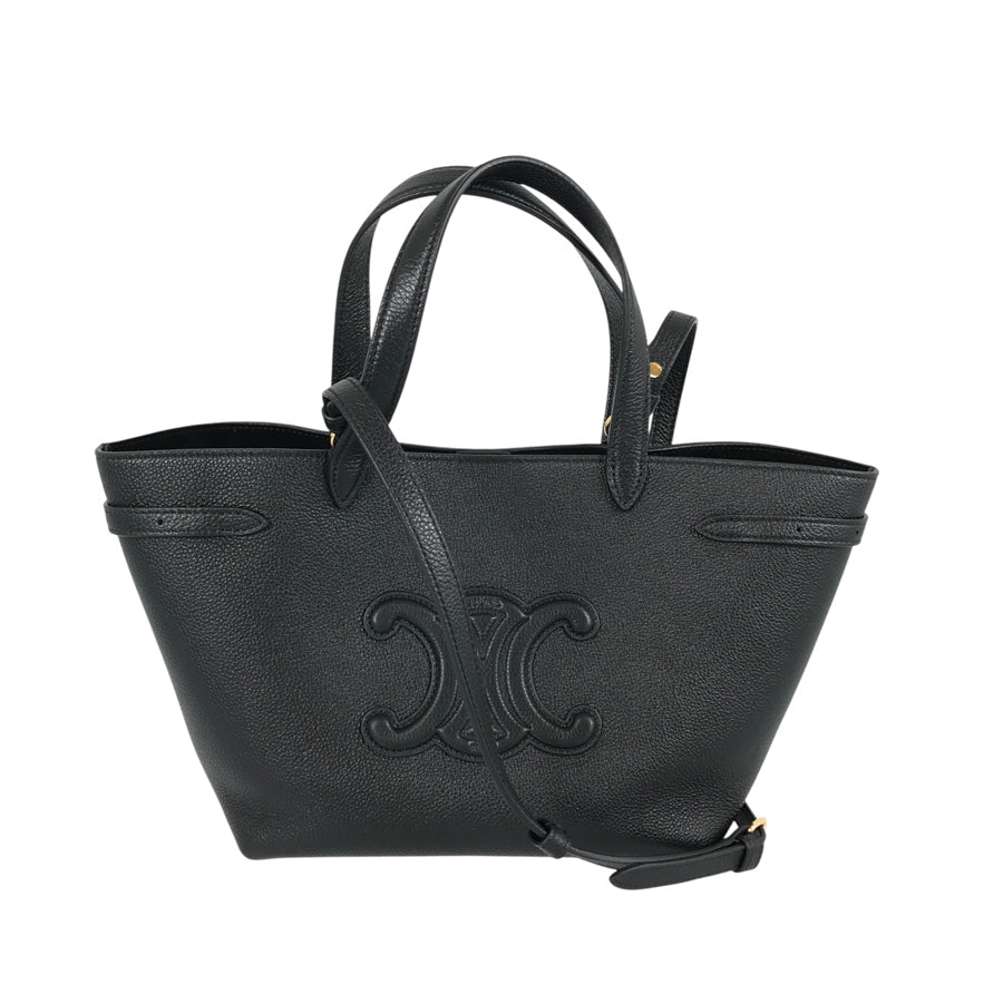 CELINE Triomphe Mini Cover Anais Cuir Hand bag