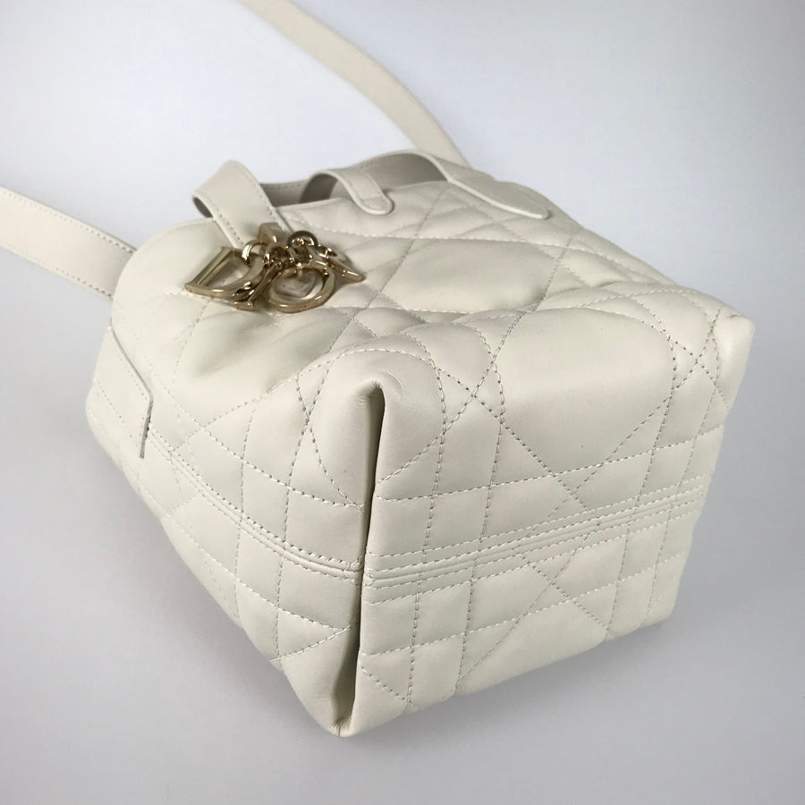 Dior Canage Macro Vertical Nano Hand bag