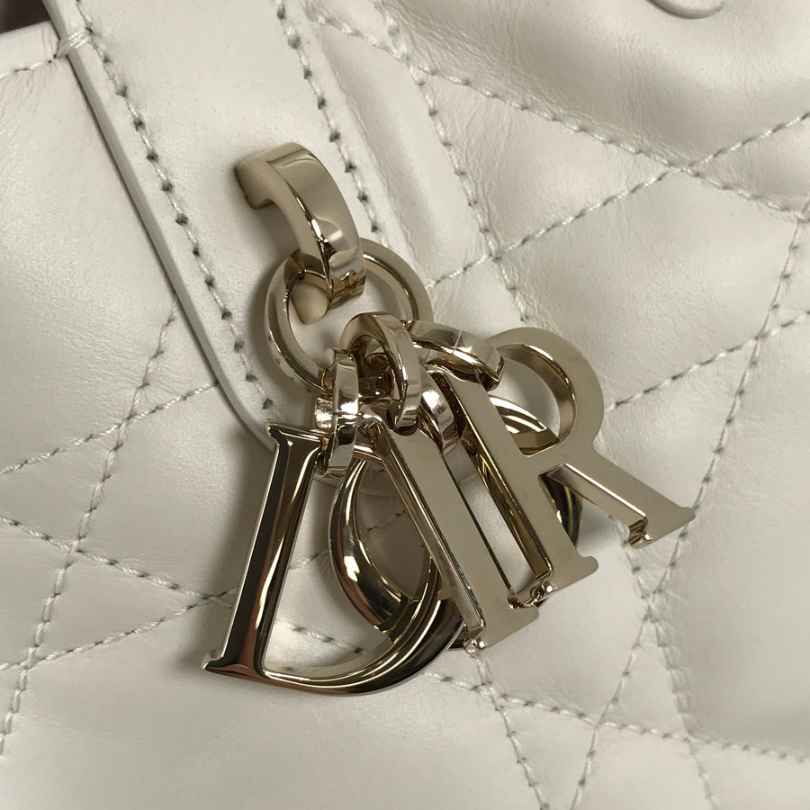 Dior Canage Macro Vertical Nano Hand bag
