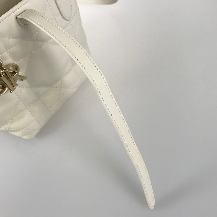 Dior Canage Macro Vertical Nano Hand bag