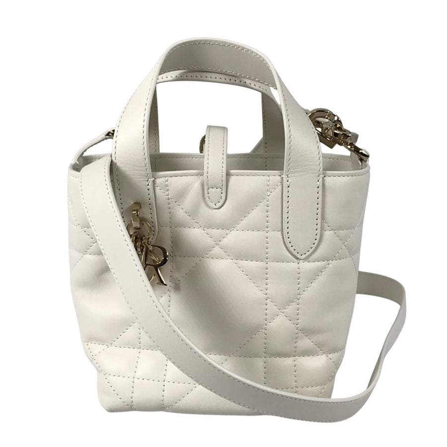 Dior Canage Macro Vertical Nano Hand bag