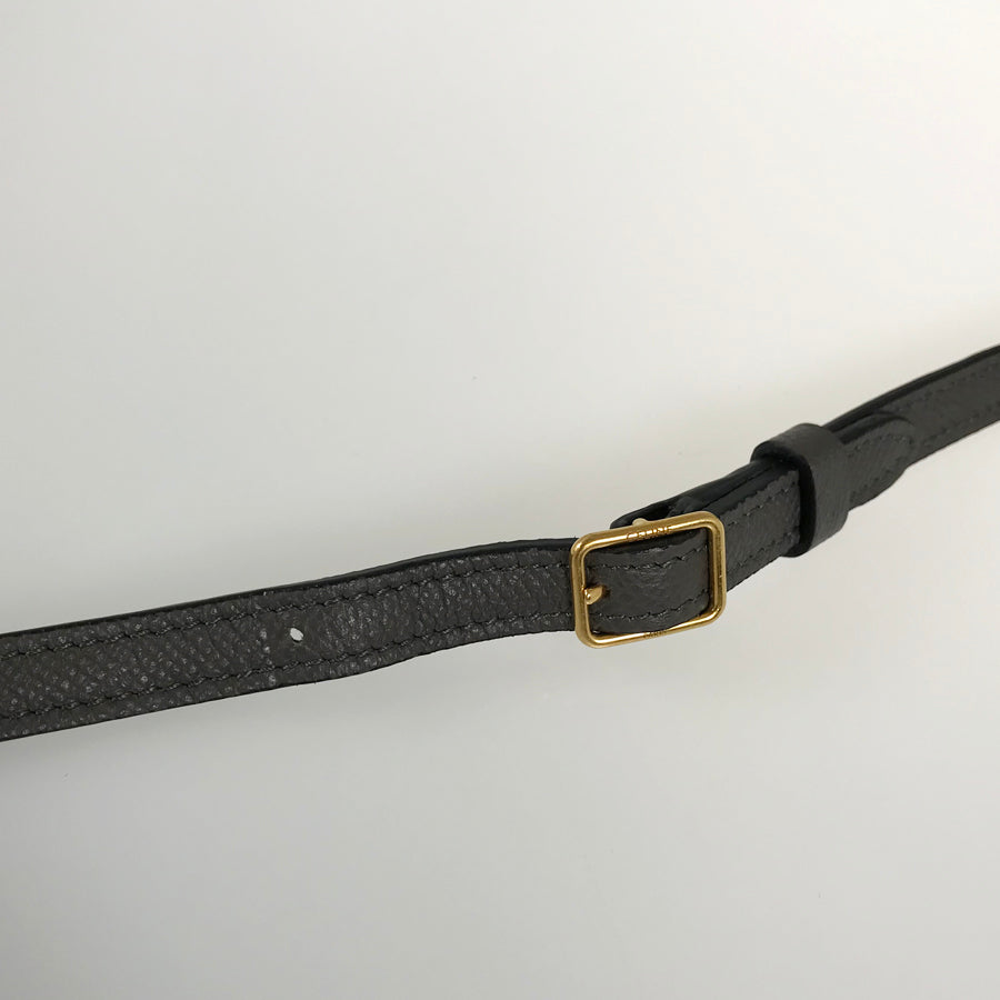 CELINE Belt Bag Nano Hand bag