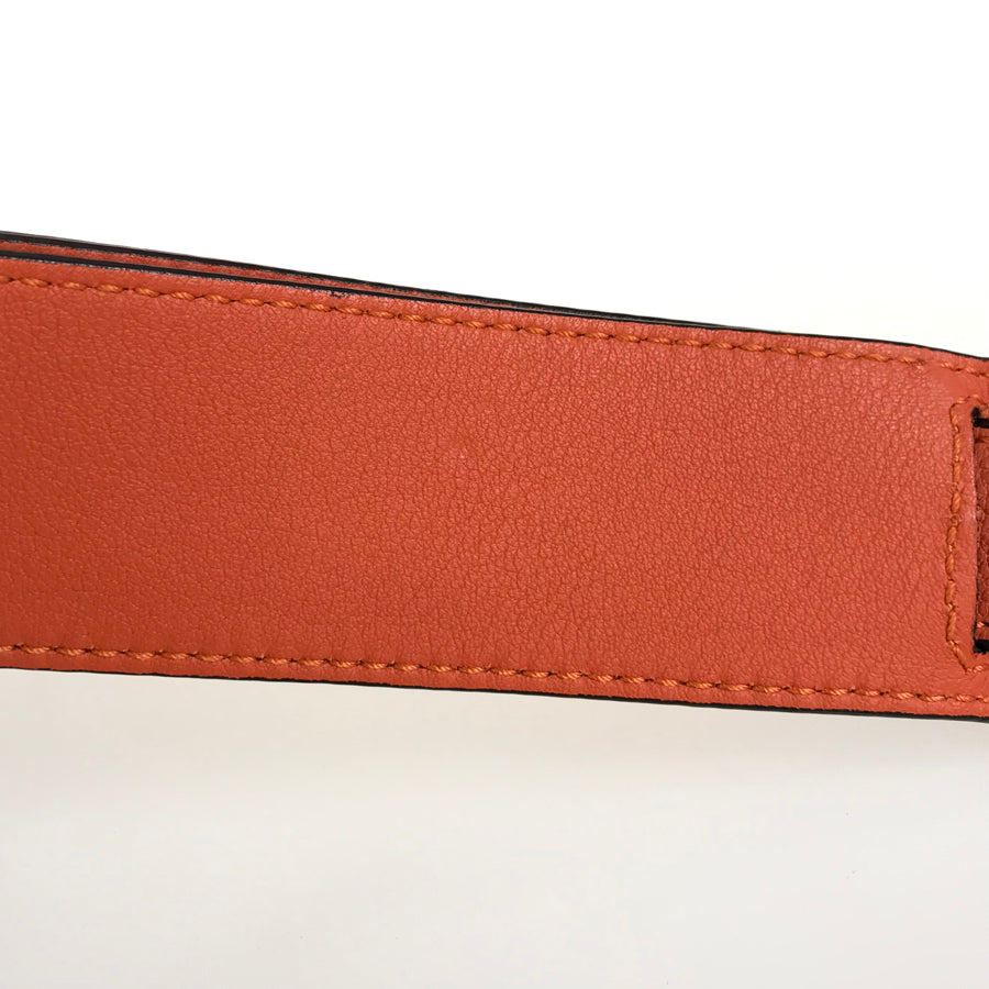 LOEWE Amazona 75 Medium Hand bag