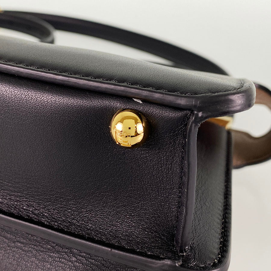 FENDI Peek-A-Boo Icy You Small 8BN327 Hand bag