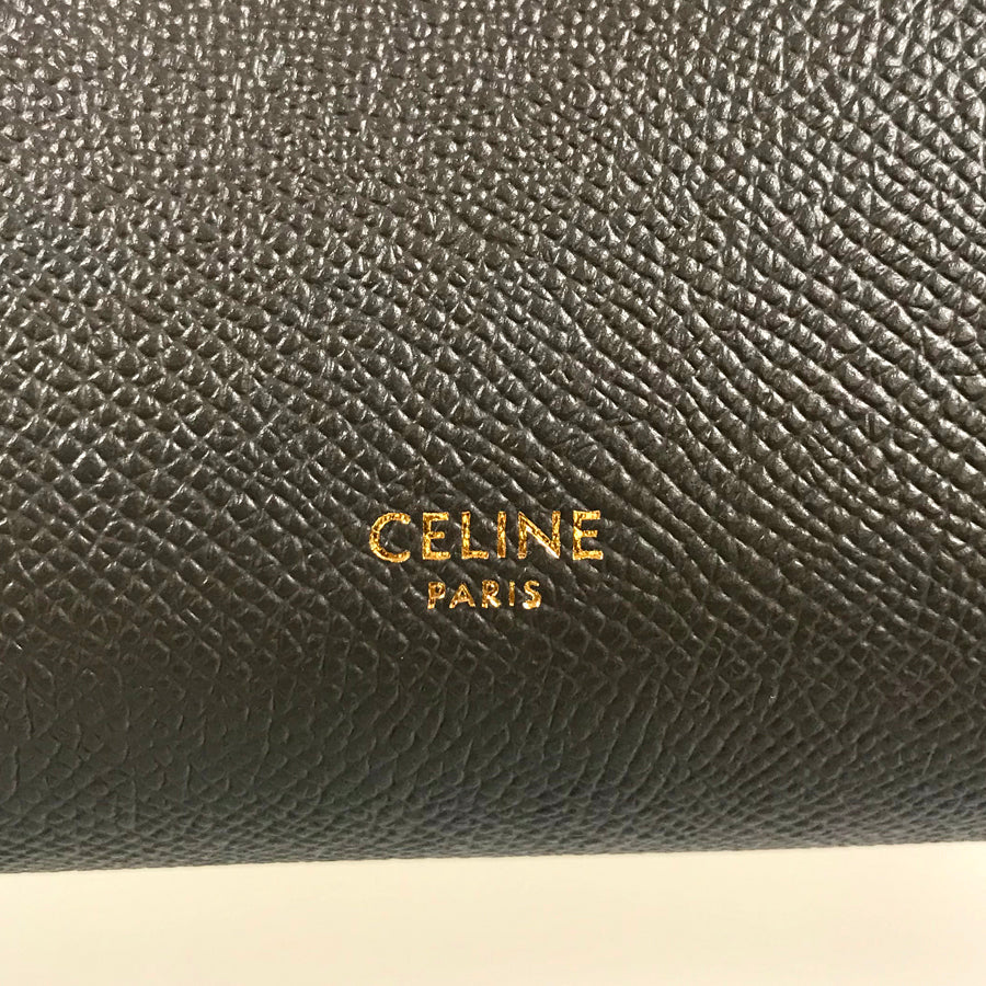 CELINE Belt Bag Nano Hand bag