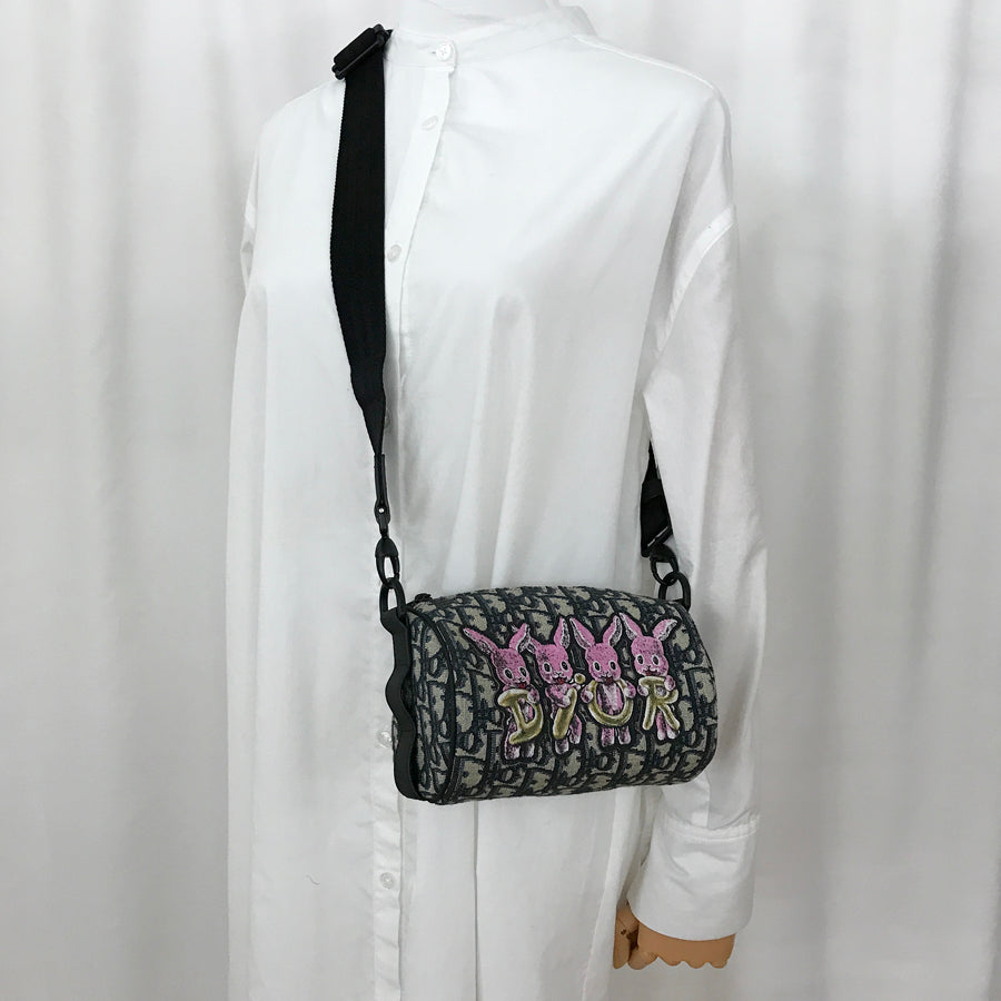 Dior Oblique Rabbit Mini Roller Shoulder bag