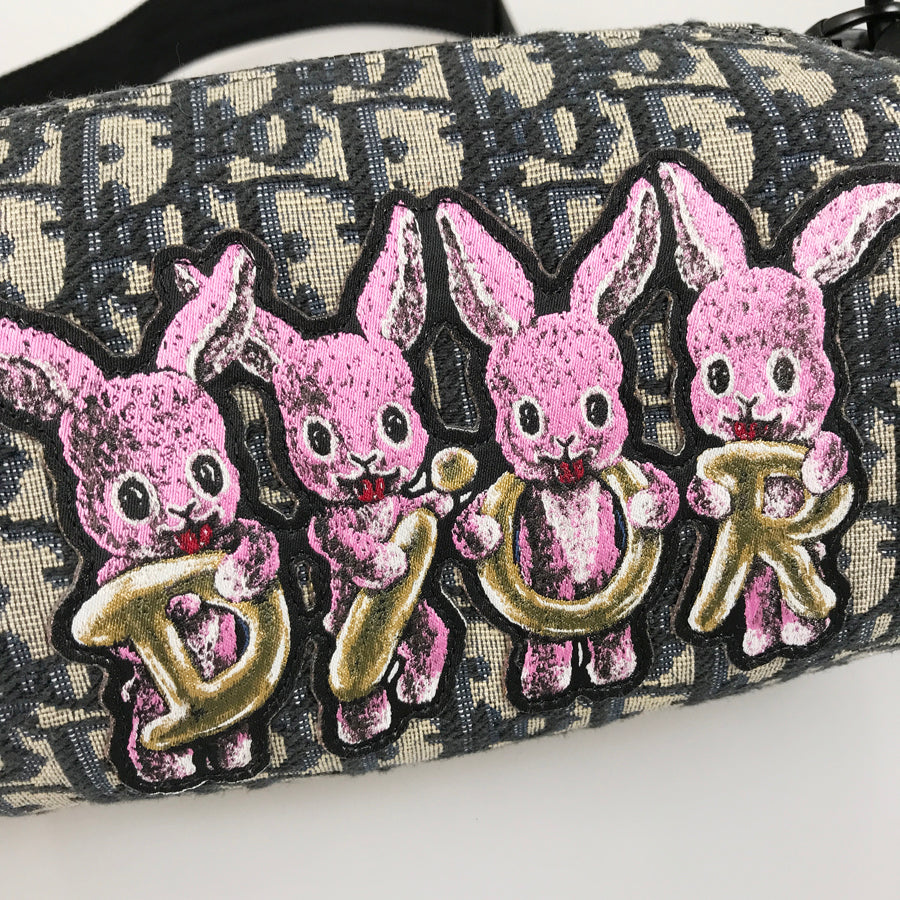 Dior Oblique Rabbit Mini Roller Shoulder bag