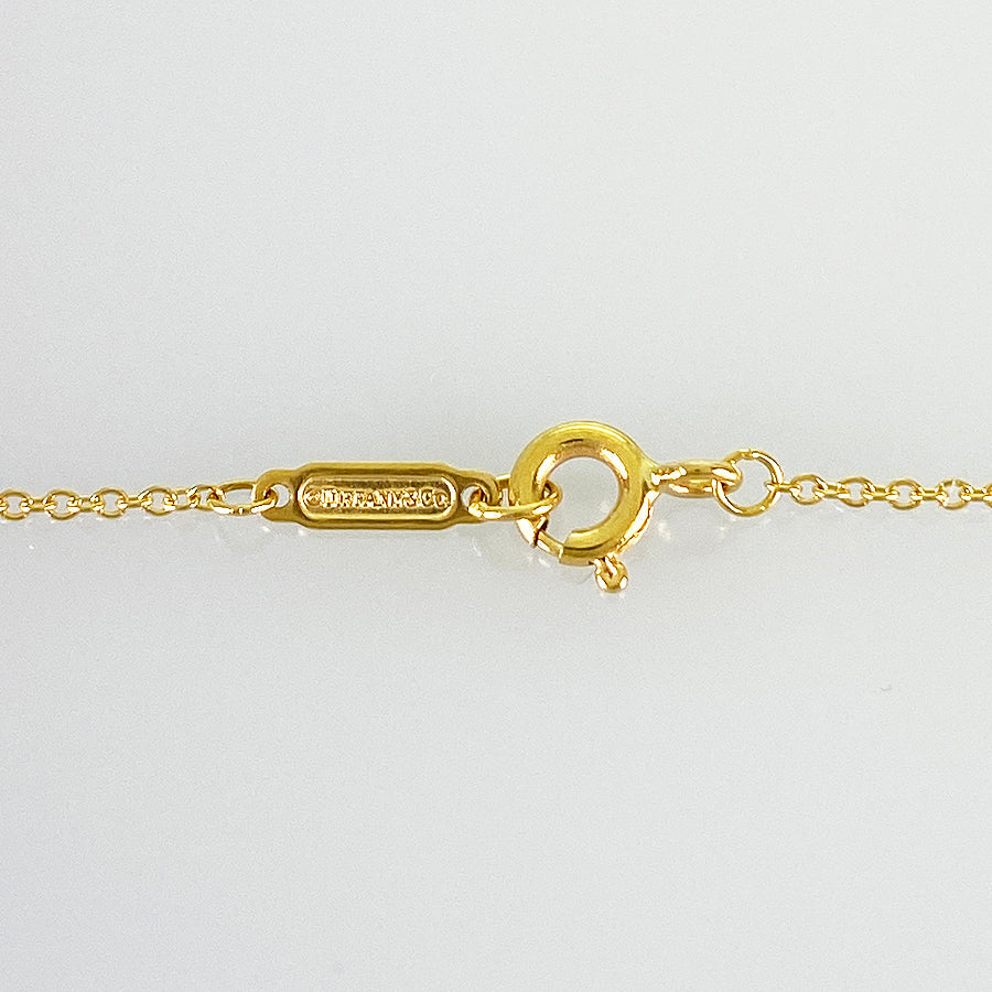 TIFFANY&Co. pierced door truss Necklace