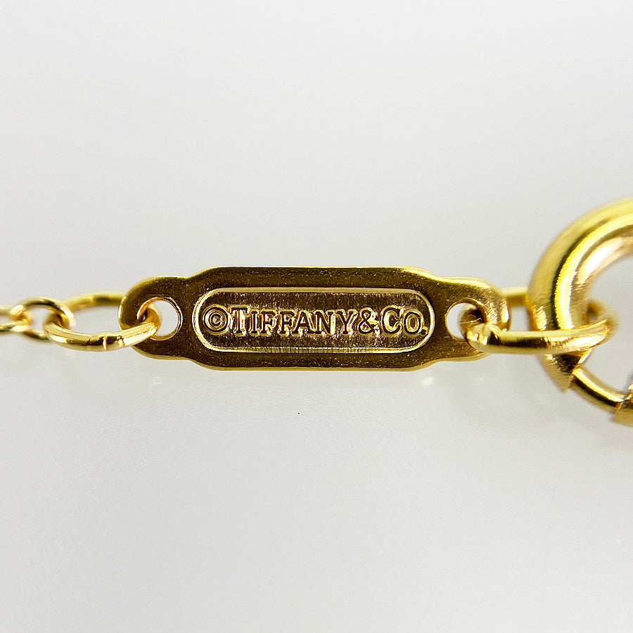 TIFFANY&Co. pierced door truss Necklace