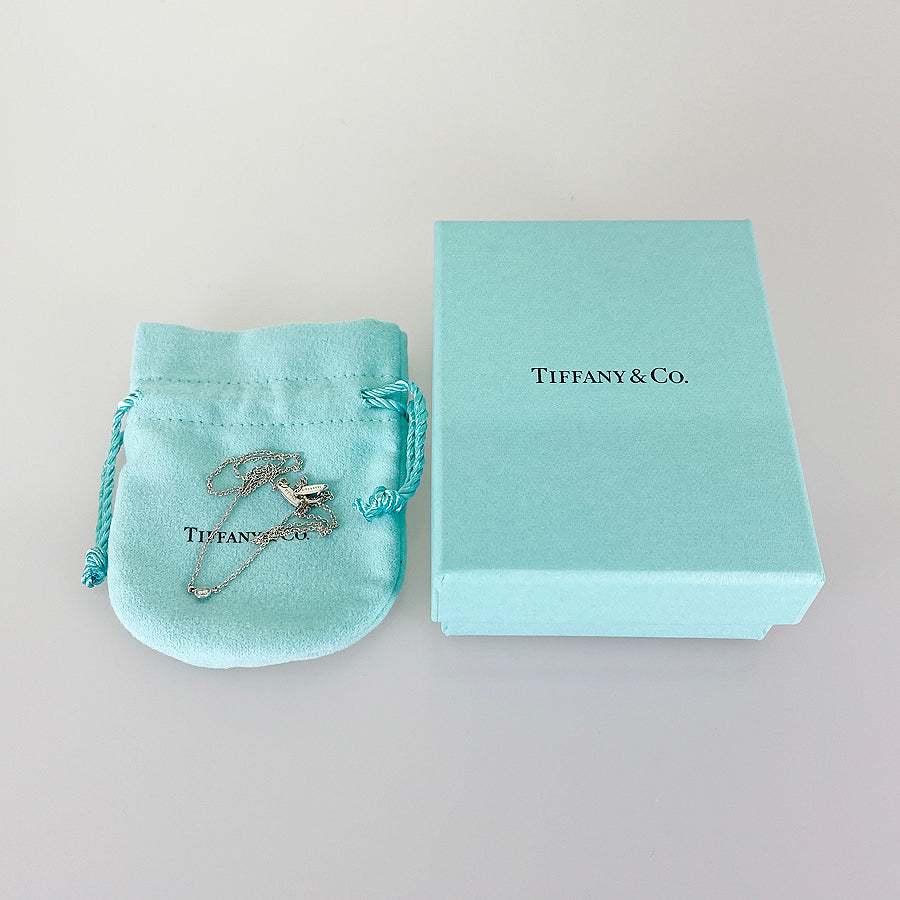 TIFFANY&Co. By The Yard Necklace