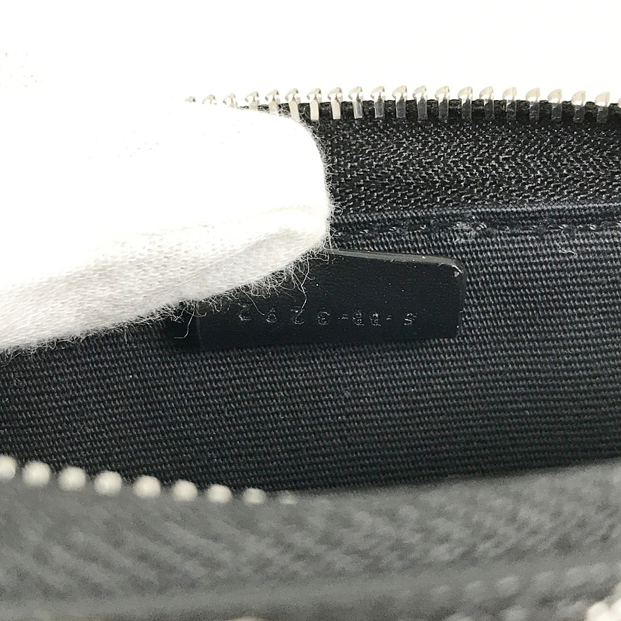 CELINE Triomphe horizontal pouch Shoulder bag
