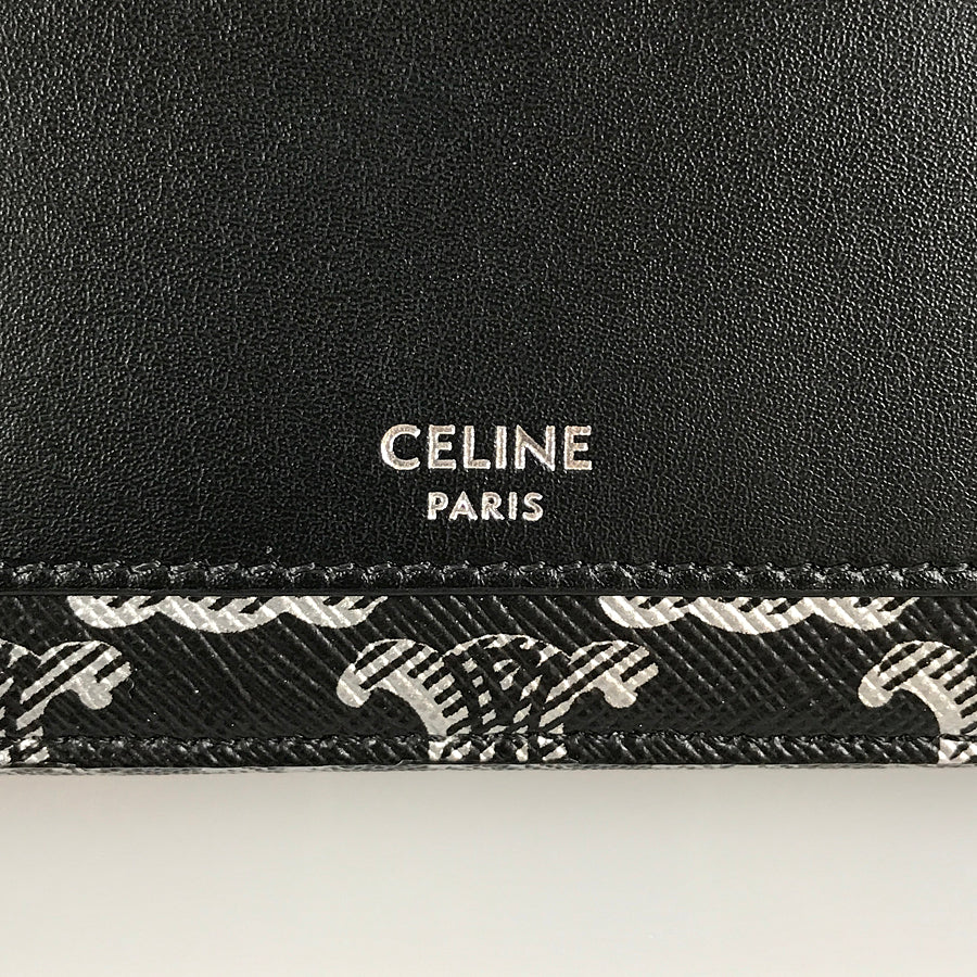CELINE Triomphe horizontal pouch Shoulder bag