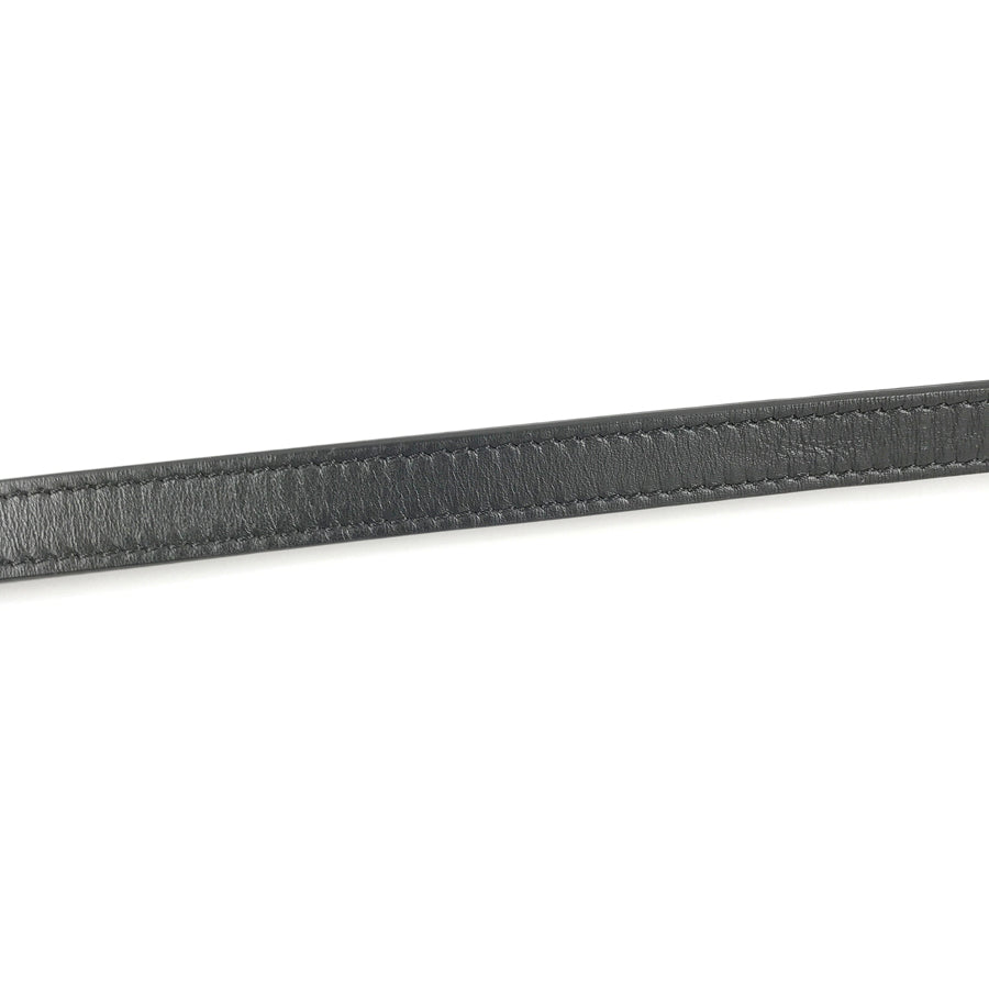 CELINE Triomphe horizontal pouch Shoulder bag