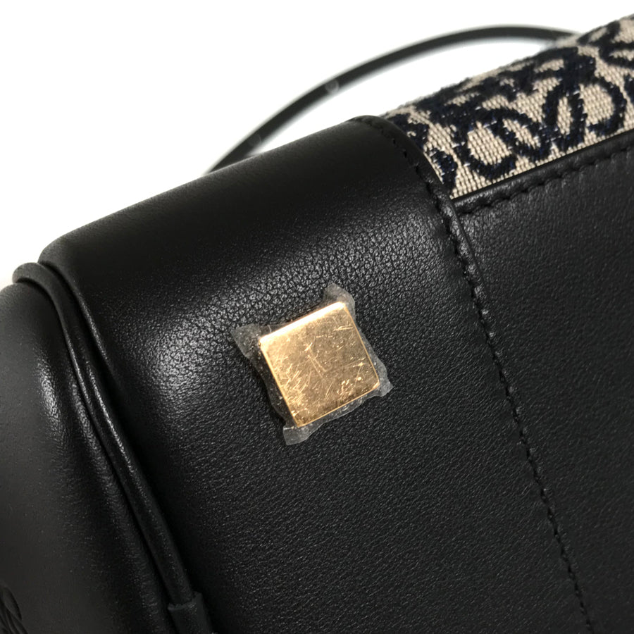 LOEWE Anagrams Amazona 19 Hand bag