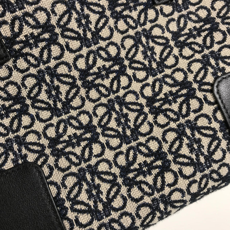 LOEWE Anagrams Amazona 19 Hand bag