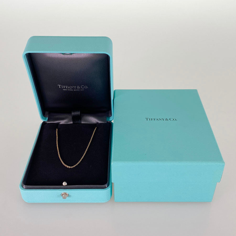 TIFFANY&Co. Necklace