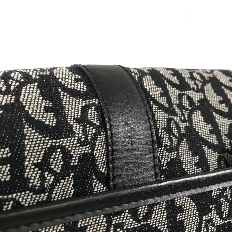Dior Trotter Shoulder bag