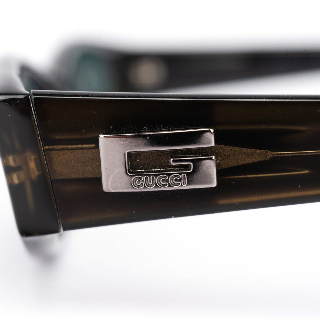 GG2424/S Brown Acetate G Sunglasses