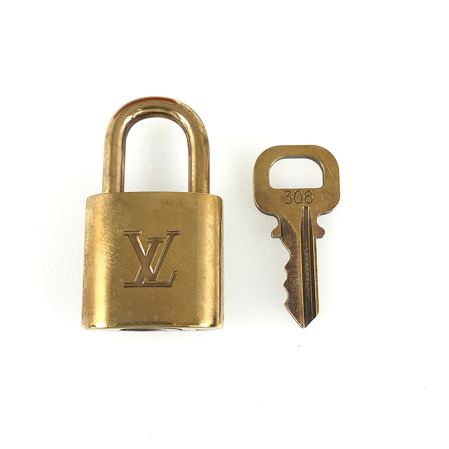 LOUIS VUITTON Epi Speedy 25 M43017 Hand bag