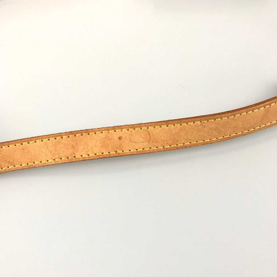 LOUIS VUITTON Monogram Viva Cite PM M51165 Shoulder bag