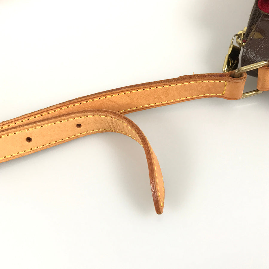 LOUIS VUITTON Monogram Viva Cite PM M51165 Shoulder bag