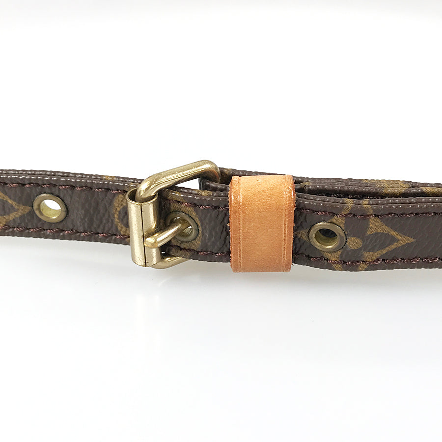 LOUIS VUITTON Monogram Danube M45266 Shoulder bag