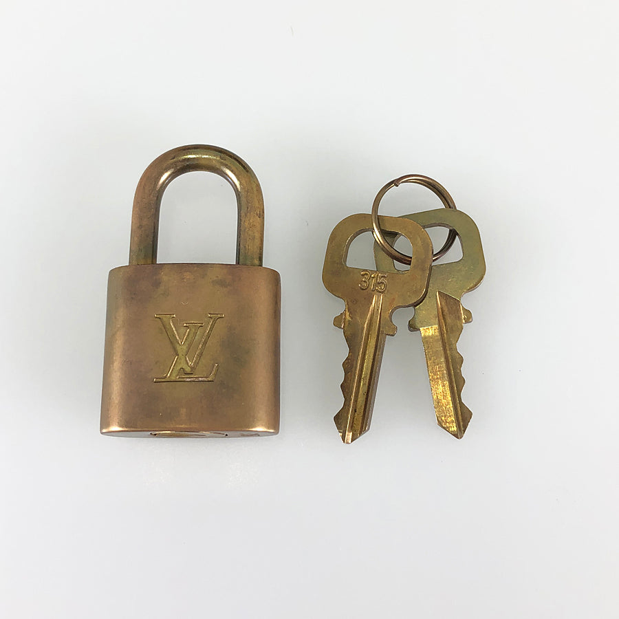 LOUIS VUITTON Monogram Alma PM M53151 Hand bag