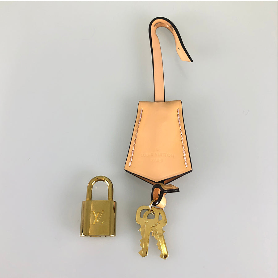 LOUIS VUITTON Monogram Vernis Alma PM M50412 Hand bag