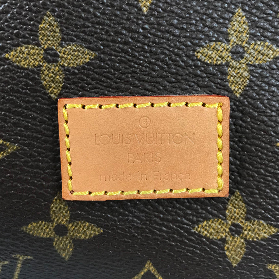 LOUIS VUITTON Monogram Saumur 30 M42256 Shoulder bag