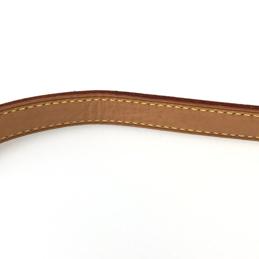 LOUIS VUITTON Monogram Viva Cite PM M51165 Shoulder bag