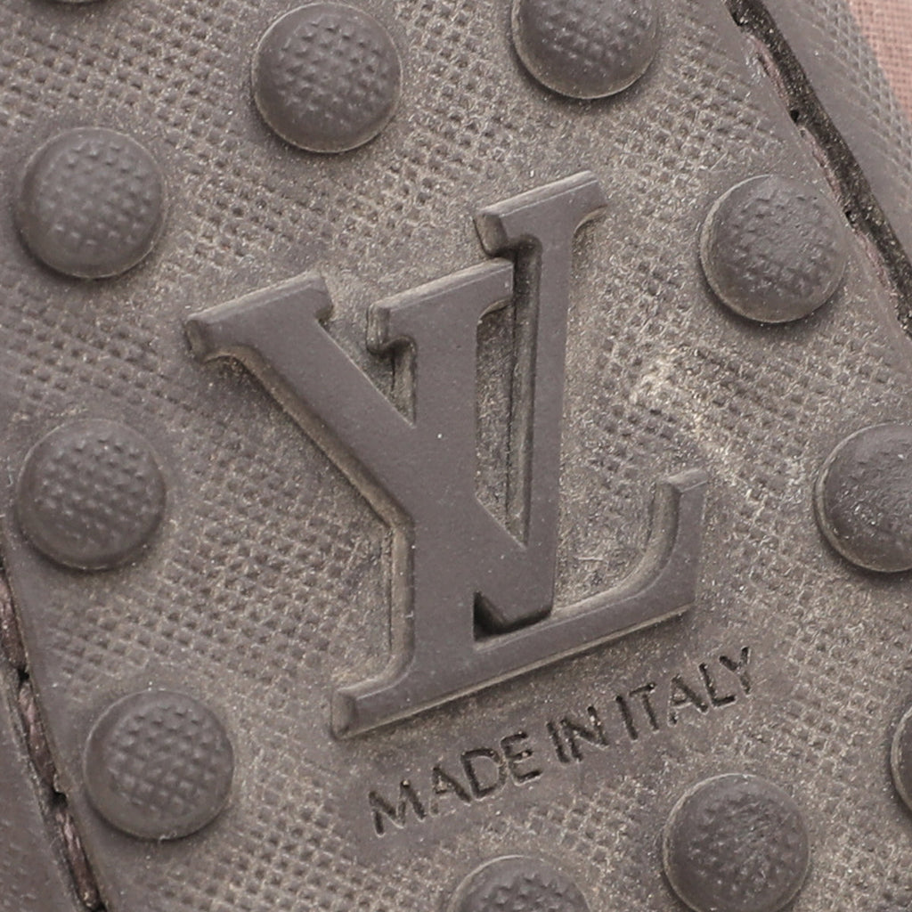 Louis Vuitton Brown Monogram Iridescent Lucky Ballerina Flats 35